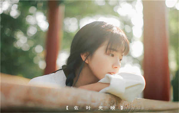 宝塔胎儿性别鉴定需要多少钱(胎儿性别鉴定的方法)